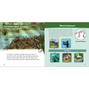 A Spring Adventure with Beavers-Strong Nations Publishing-Modern Rascals