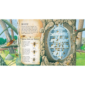 A Wasp Builds a Nest: See Inside a Paper Wasp's Nest and Watch It Grow-Firefly Books-Modern Rascals