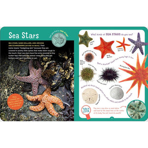 Backpack Explorer - Beach Walk-Hatchette Group-Modern Rascals