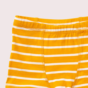 Blue Organic Underwear Set - 3 Pack - 2 Left Size 3-4 years-Little Green Radicals-Modern Rascals