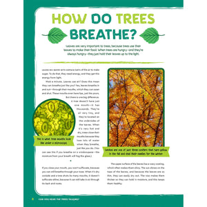 Can You Hear The Trees Talking?: Discovering The Hidden Life Of The Forest-Greystone-Modern Rascals