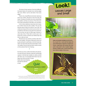 Can You Hear The Trees Talking?: Discovering The Hidden Life Of The Forest-Greystone-Modern Rascals