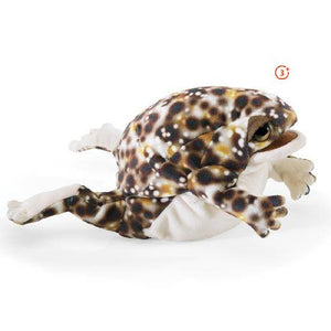 Desert Rain Frog Puppet-Folkmanis Puppets-Modern Rascals