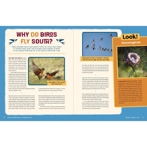 Do You Know Where the Animals Live? Discovering the Incredible Creatures All Around Us-Greystone-Modern Rascals