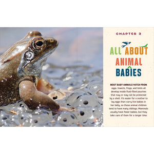 Do You Know Where the Animals Live? Discovering the Incredible Creatures All Around Us-Greystone-Modern Rascals