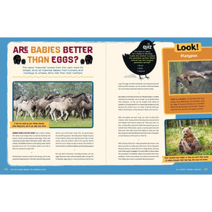 Do You Know Where the Animals Live? Discovering the Incredible Creatures All Around Us-Greystone-Modern Rascals