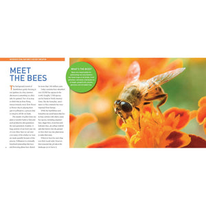 Exploring the World of Bees-Firefly Books-Modern Rascals