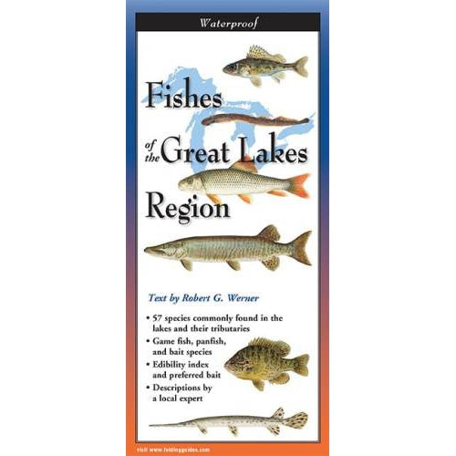 Fishes of the Great Lakes - Folding Guide-Nimbus Publishing-Modern Rascals