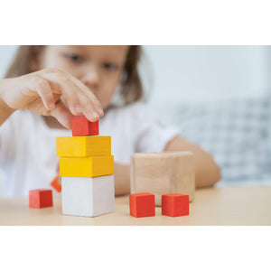 Fraction Cubes-PlanToys-Modern Rascals