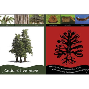 From the Mountains to the Sea: We Live Here-Strong Nations Publishing-Modern Rascals