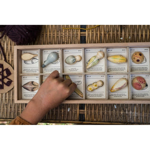 Grapat Wild - 12 wooden pieces in a tray-Grapat-Modern Rascals