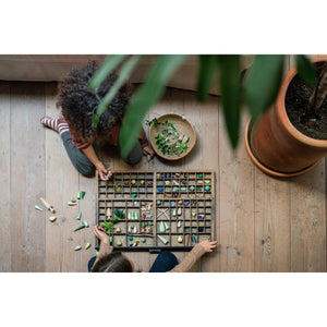 Grapat Wood Forest Trees-Grapat-Modern Rascals