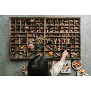 Grapat Wood Mushroom Grove-Grapat-Modern Rascals