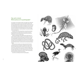 Inside In - X-Rays of Nature's Hidden World-Greystone-Modern Rascals