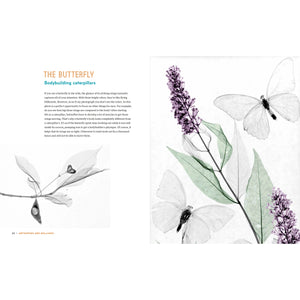 Inside In - X-Rays of Nature's Hidden World-Greystone-Modern Rascals