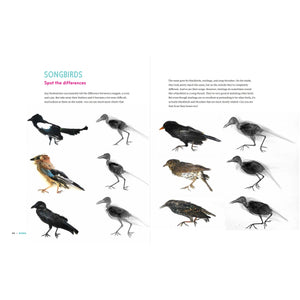 Inside In - X-Rays of Nature's Hidden World-Greystone-Modern Rascals