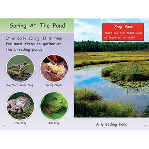 Life Cycle of a Frog-Strong Nations Publishing-Modern Rascals