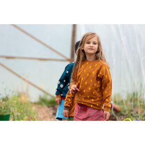 Lightning Raglan Sweatshirt-Little Green Radicals-Modern Rascals