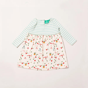 Little Green Radicals Toadstool Easy Peasy Dress - Size 18-24 Months (92cm)-Warehouse Find-Modern Rascals