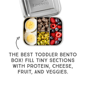 Lunchbots Small 4 Compartment Stainless Steel Snack Packer-Lunchbots-Modern Rascals