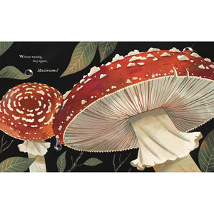 Mushroom Rain-Raincoast Books-Modern Rascals