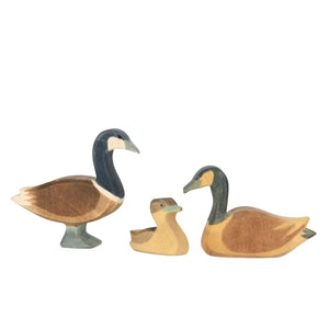 Ostheimer Canada Goose - Swimming-Ostheimer-Modern Rascals