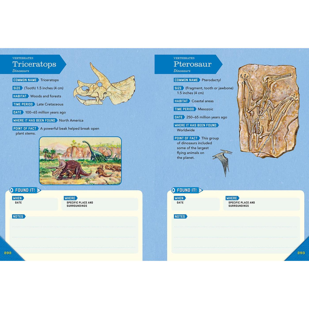 Outdoor School: Rock, Fossil, and Shell Hunting-Raincoast Books-Modern Rascals