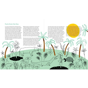 Palm Trees at the North Pole-Greystone-Modern Rascals