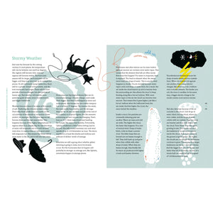 Palm Trees at the North Pole-Greystone-Modern Rascals