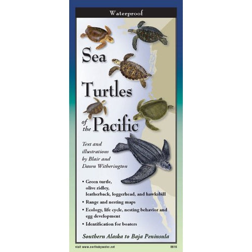 Sea Turtles of the Pacific - Folding Guide-Nimbus Publishing-Modern Rascals