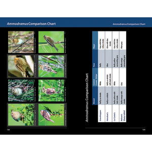 Sparrows and Finches of the Great Lakes Region and Eastern North America-Firefly Books-Modern Rascals