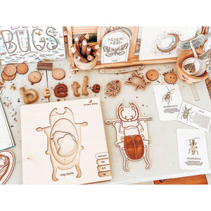 Stag Beetle Lifecycle Wooden Puzzle-Stuka Puka-Modern Rascals