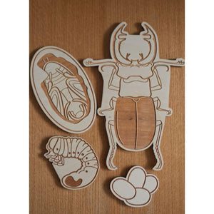 Stag Beetle Lifecycle Wooden Puzzle-Stuka Puka-Modern Rascals