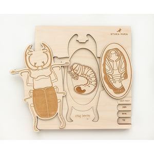 Stag Beetle Lifecycle Wooden Puzzle-Stuka Puka-Modern Rascals