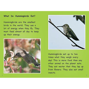 Strong Readers Set B: Hummingbirds (L17)-Strong Nations Publishing-Modern Rascals