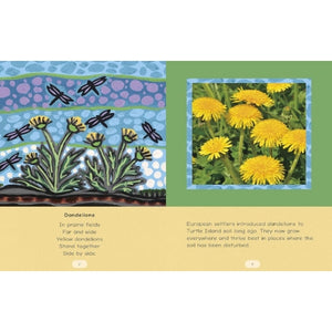 Strong Stories Métis: Métis and Dandelions-Strong Nations Publishing-Modern Rascals