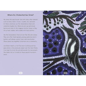 Strong Stories Métis: Pemmican Berries-Strong Nations Publishing-Modern Rascals