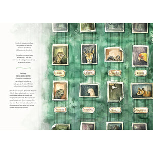 The Late, Great Endings-Orca Book Publishers-Modern Rascals