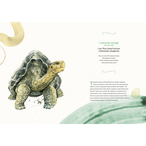 The Late, Great Endings-Orca Book Publishers-Modern Rascals