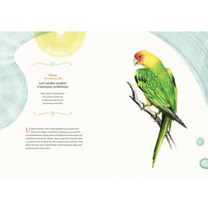 The Late, Great Endings-Orca Book Publishers-Modern Rascals