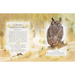 The Little Book of Backyard Bird Songs-Firefly Books-Modern Rascals