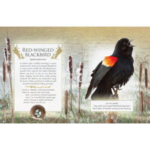 The Little Book of Backyard Bird Songs-Firefly Books-Modern Rascals