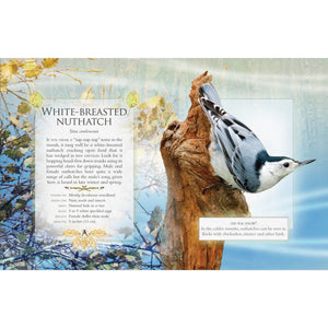 The Little Book of Woodland Bird Songs-Firefly Books-Modern Rascals