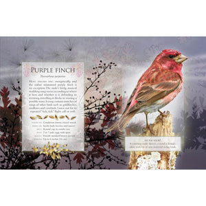 The Little Book of Woodland Bird Songs-Firefly Books-Modern Rascals