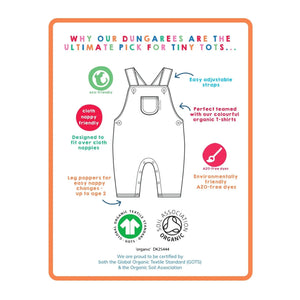 Tonal Dinosaur Print Dungarees - 1 Left Size 3-4 years-Toby Tiger-Modern Rascals