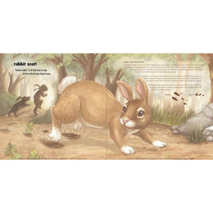 Track That Scat!-Hatchette Group-Modern Rascals