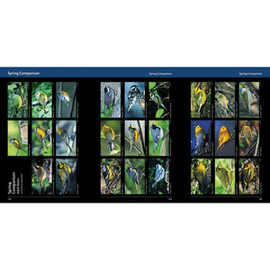 Warblers of the Great Lakes Region and Eastern North America-Firefly Books-Modern Rascals