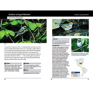 Warblers of the Great Lakes Region and Eastern North America-Firefly Books-Modern Rascals