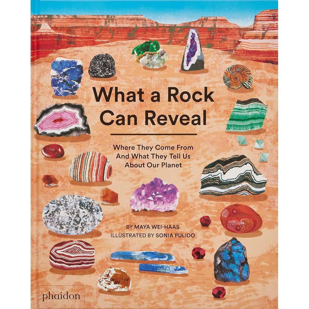 What a Rock Can Reveal-Penguin Random House-Modern Rascals