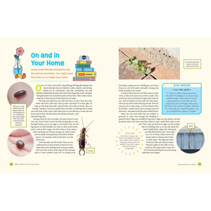 What's Wild Outside Your Door? Discovering Nature in the City-Greystone-Modern Rascals